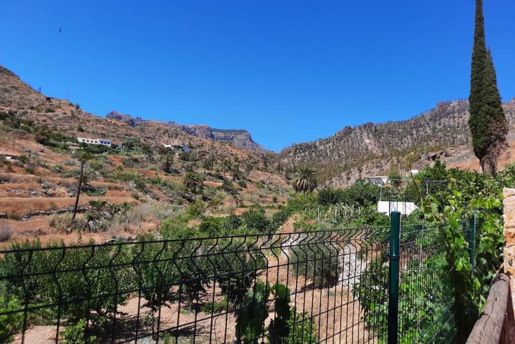 Casa Rural Los Cipreses. Cercados De Arana San Bartolomé Zewnętrze zdjęcie
